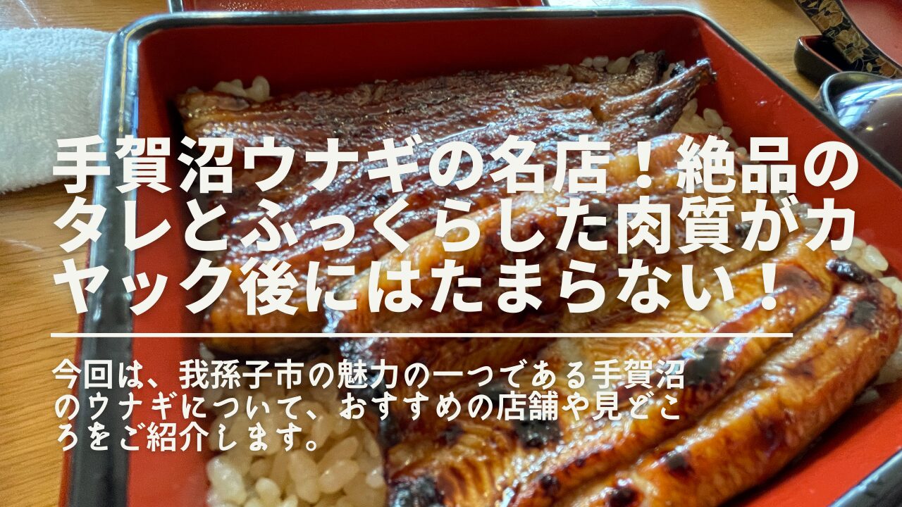 手賀 沼 うなぎ 屋